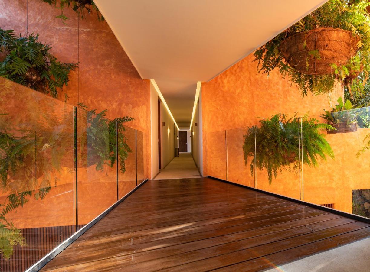 סאיוליטה Sayulinda Hotel מראה חיצוני תמונה